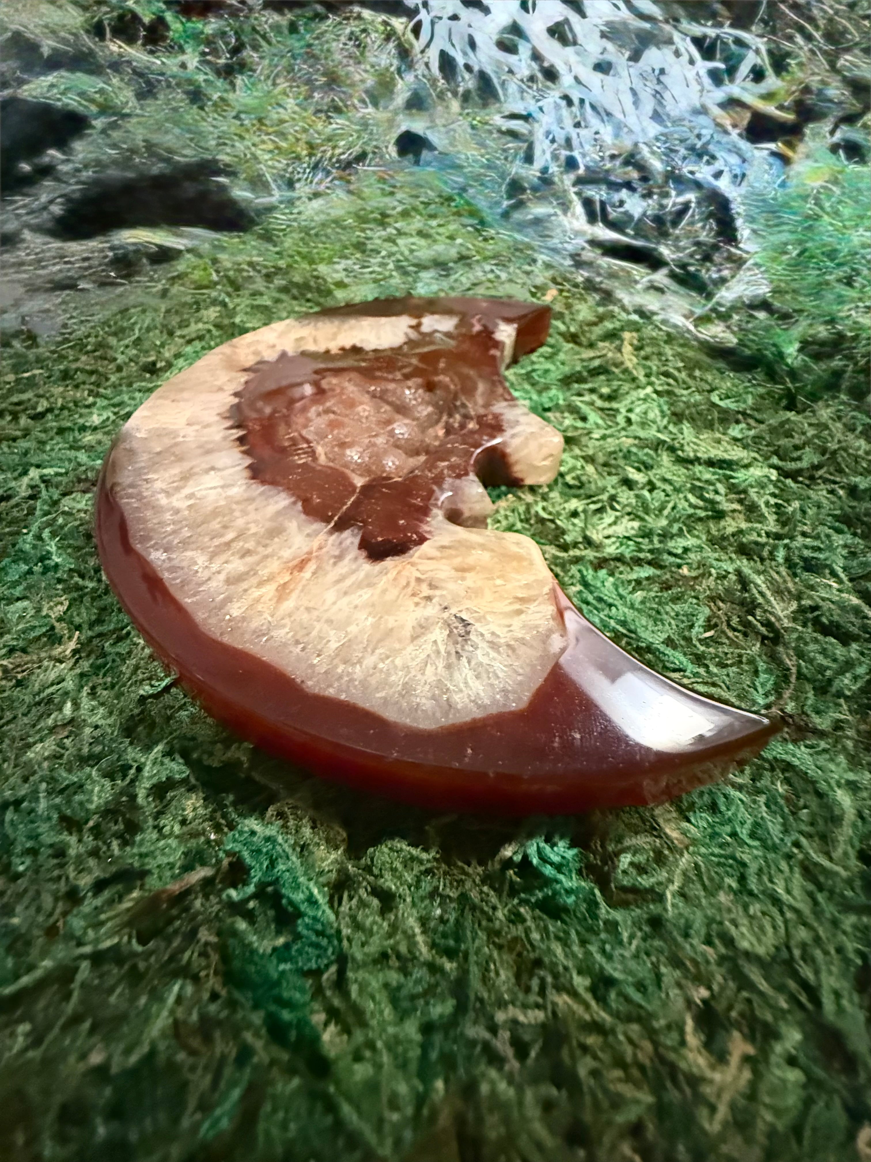 Red Agate Druzy Moon